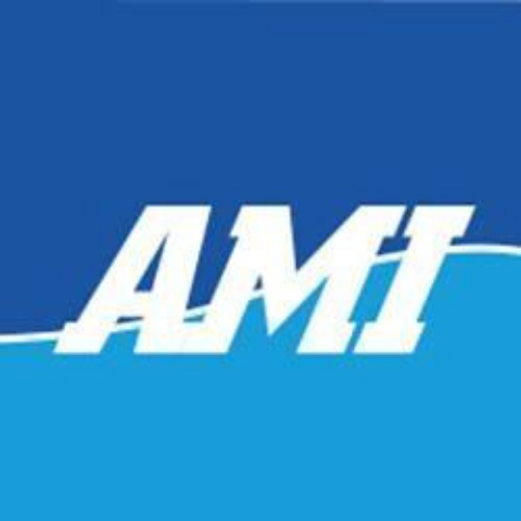 AMI Marine International Pte Ltd logo