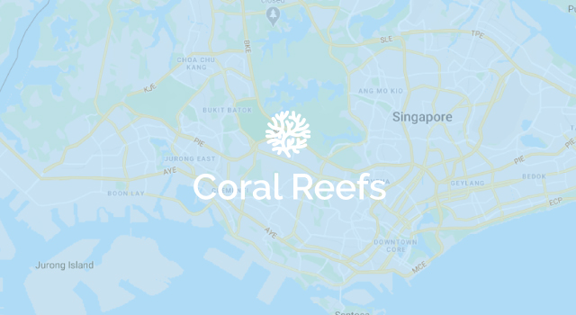Coral reefs around Singapore marine islands