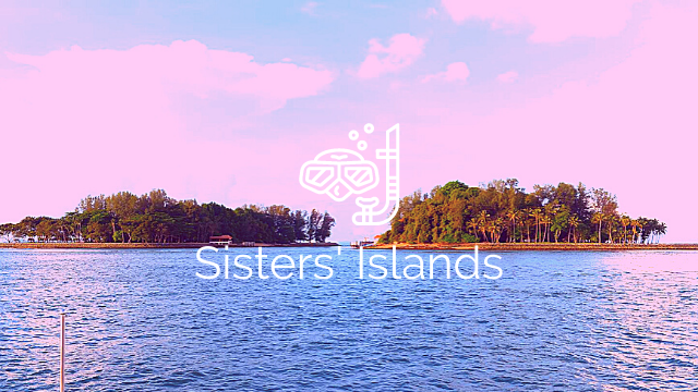 Pulau Semakau - East Coast (Constant Wind) - Singapore Marine guide sisters islands Marine Park