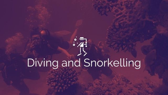 Diving and Snorkelling in Singapore Pulau Hantu jong