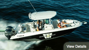 premium nautical fishing Wellcraft for sale singapore