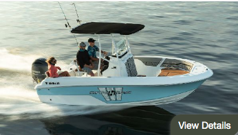 premium nautical fishing Wellcraft