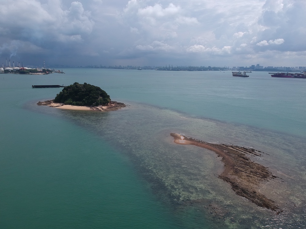 Pulau Jong Singapore Marine Guide 2