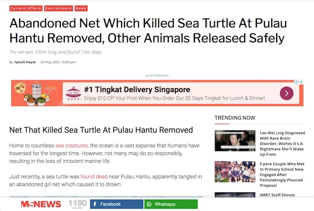 Mustshare News Singapore MArine Guide turtle caught in net at Pulau Hantu