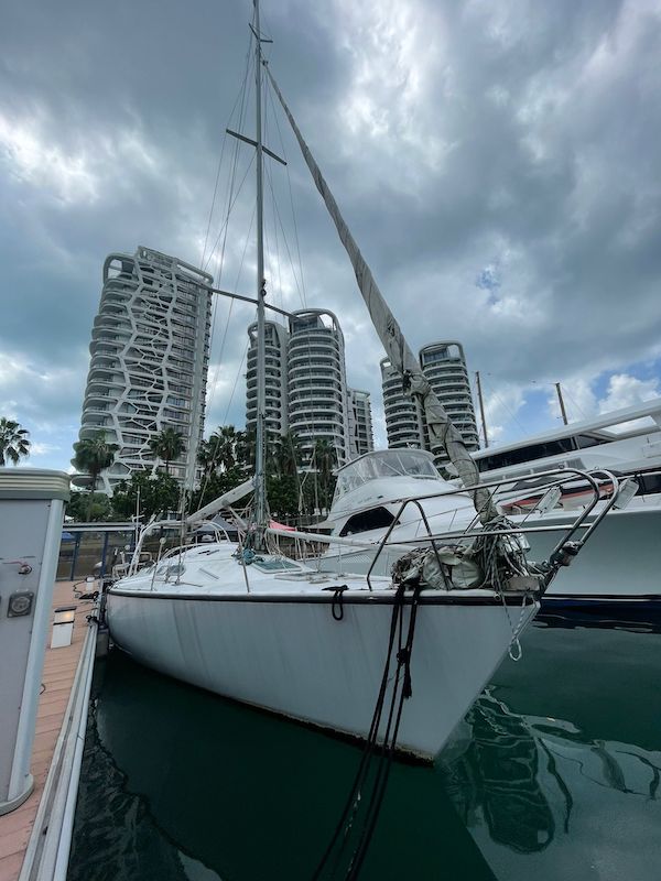 Bailiff boat auction singapore yacht for sale sailing
