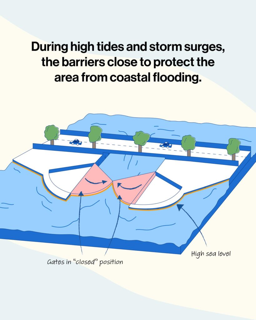 Coast Barriers Singapore